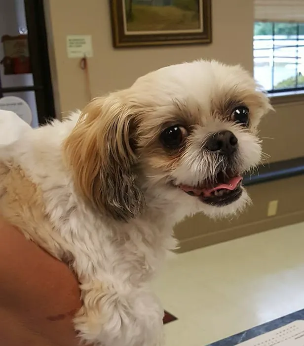 Stewart Animal Clinic 9