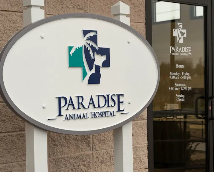 Paradise Animal Hospital 4