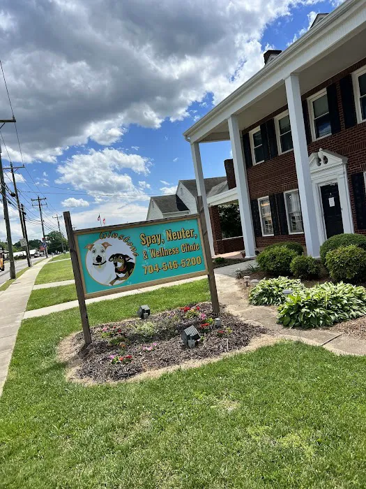 Ginstone Spay Neuter and Wellness Clinic 7