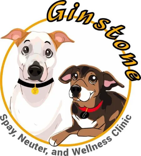 Ginstone Spay Neuter and Wellness Clinic 6