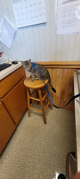 Alexander County Veterinary 5