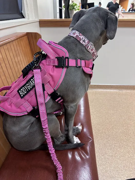 Lincolnton Animal Hospital 3