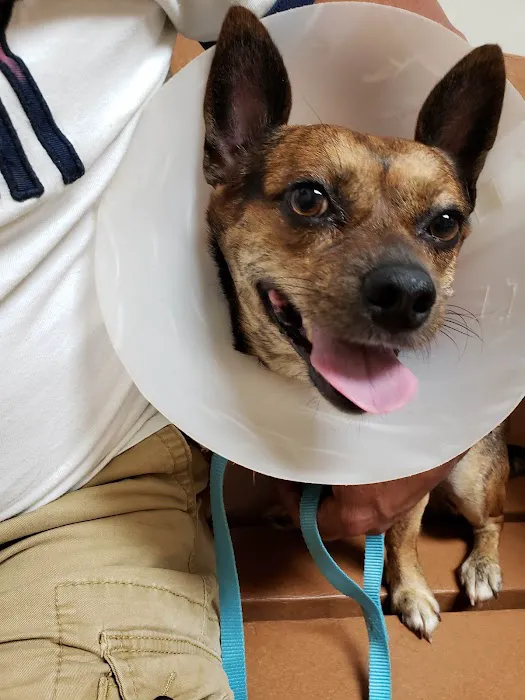 Lincolnton Animal Hospital 8