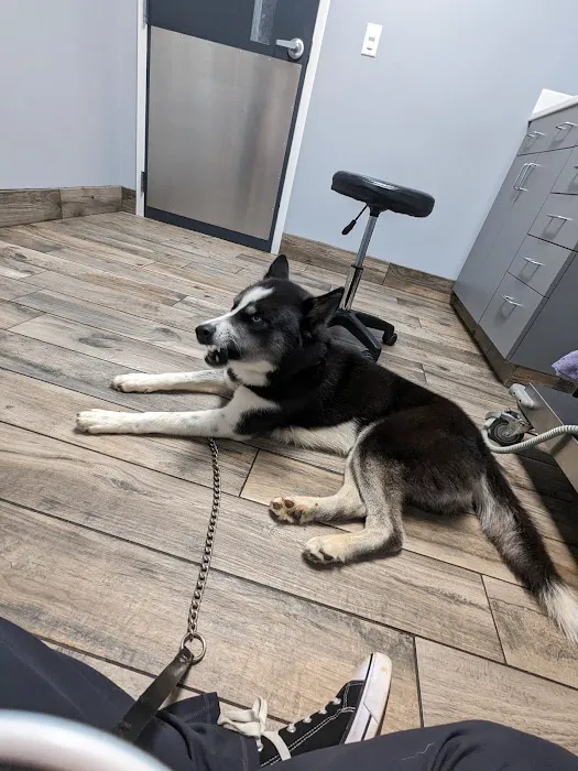 Startown Veterinary Hospital 9