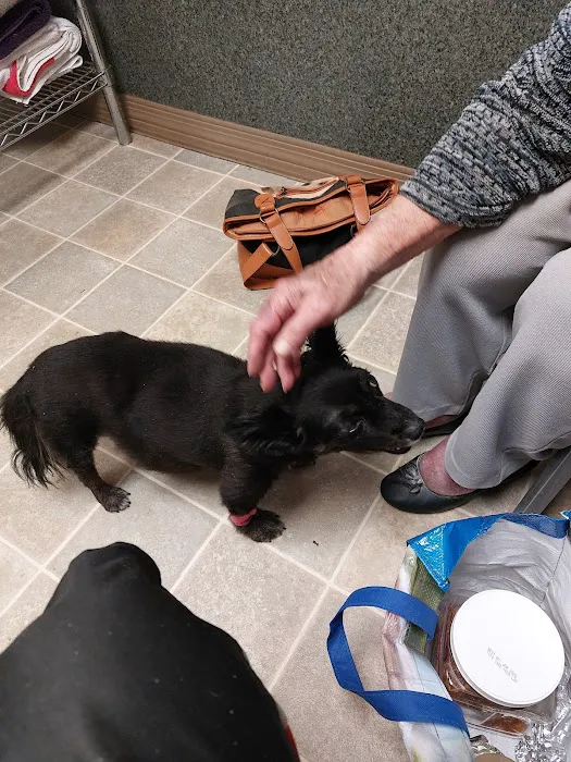 Animal Hospital-Newton Conover 2