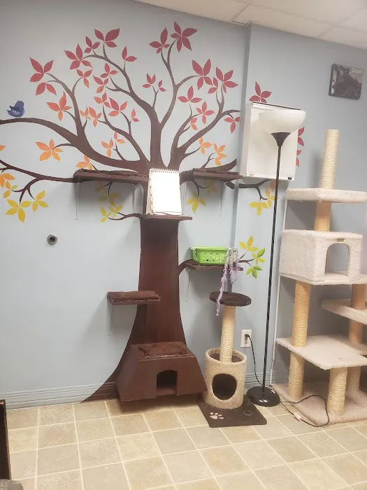 Animal Hospital-Newton Conover 1
