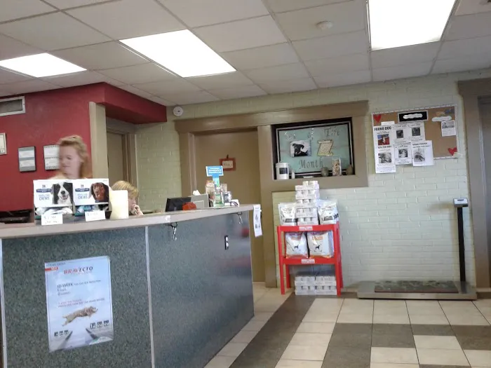 Animal Hospital-Newton Conover 4
