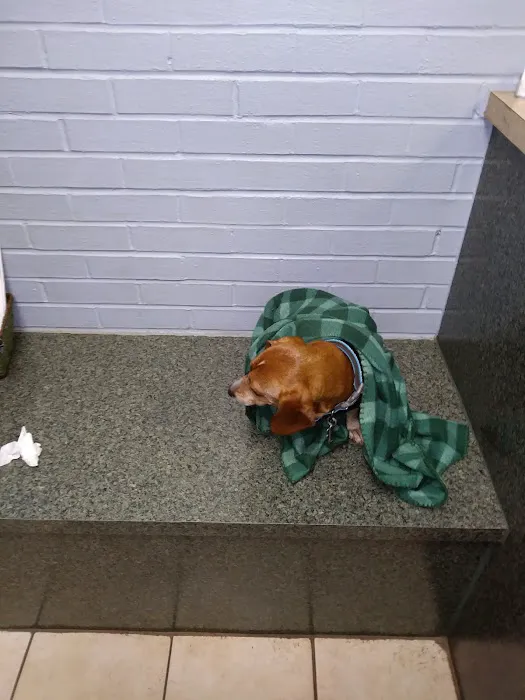 Animal Hospital-Newton Conover 6