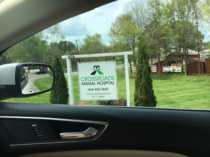 Crossroads Animal Hospital 8