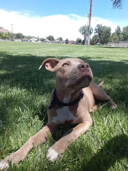 Crossroads Animal Hospital 5
