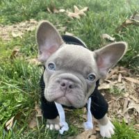Ranchside Veterinary Clinic, Inc. ico