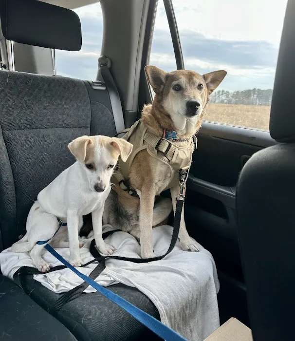 Ranchside Veterinary Clinic, Inc. 2