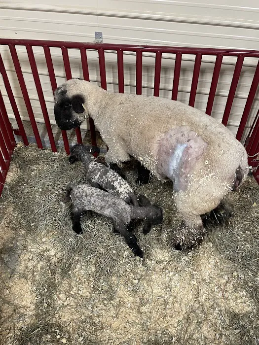 Ranchside Veterinary Clinic, Inc. 8