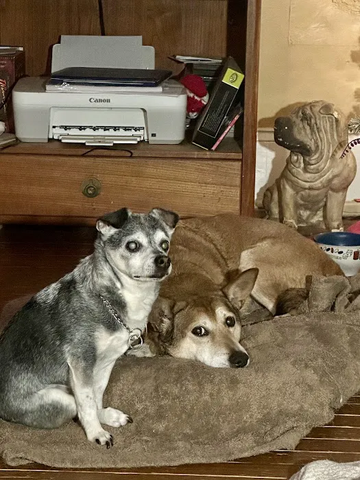 Ranchside Veterinary Clinic, Inc. 5