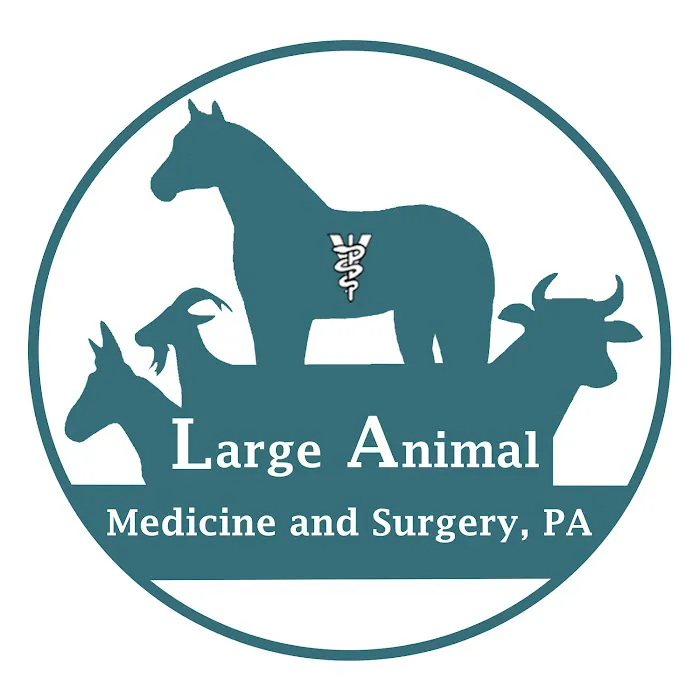 Large Animal Medicine and Surgery, PA 8