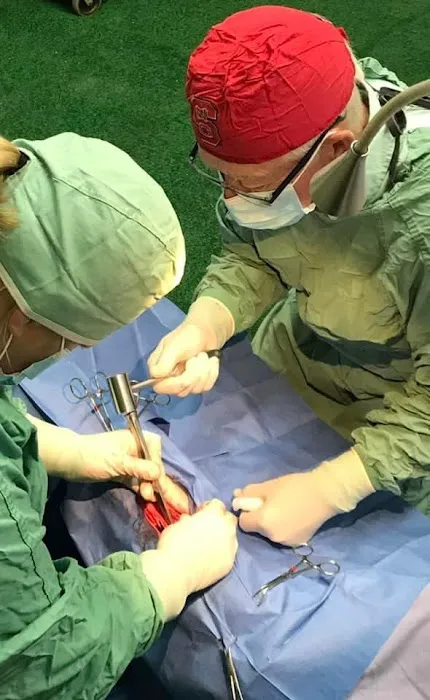 Large Animal Medicine and Surgery, PA 2