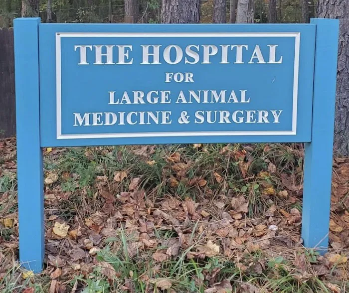 Large Animal Medicine and Surgery, PA 4