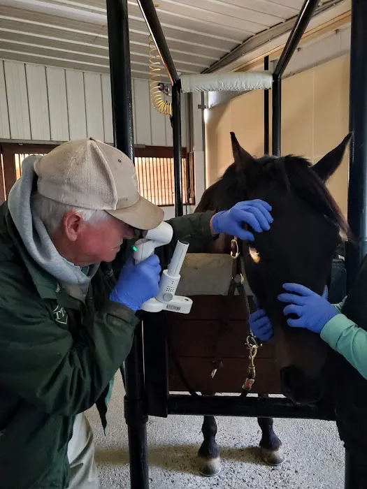 Large Animal Medicine and Surgery, PA 6