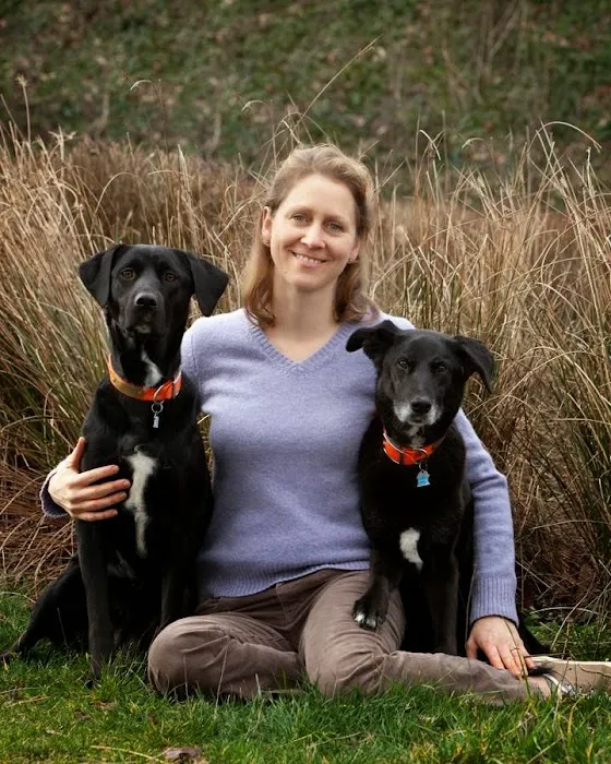 Oswego Veterinary Hospital 7