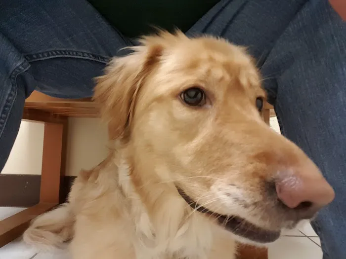 Full Circle Veterinary Care 1