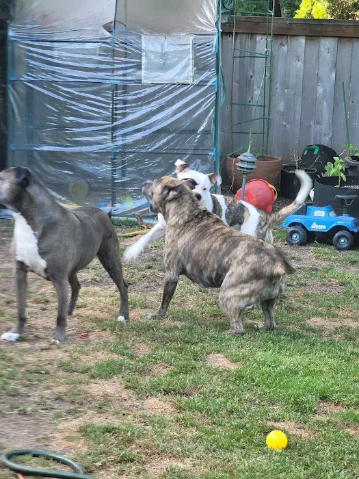 Full Circle Veterinary Care 8