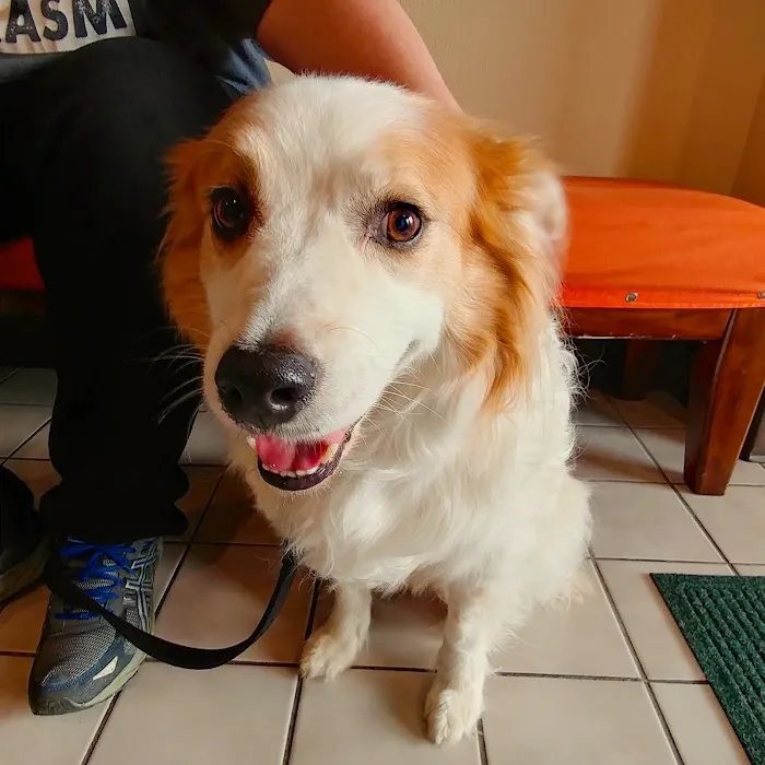 Full Circle Veterinary Care 7