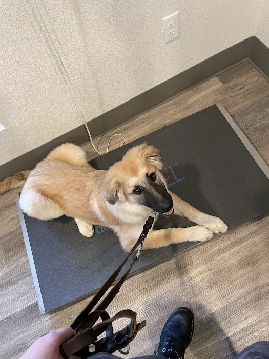 Full Circle Veterinary Care 6