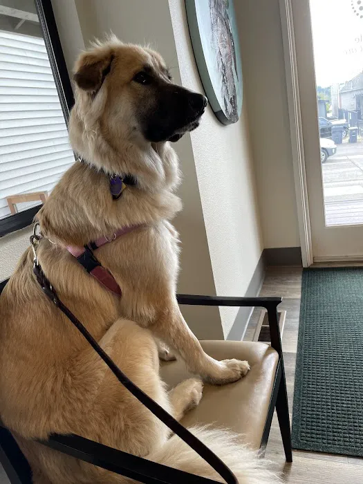 Full Circle Veterinary Care 5
