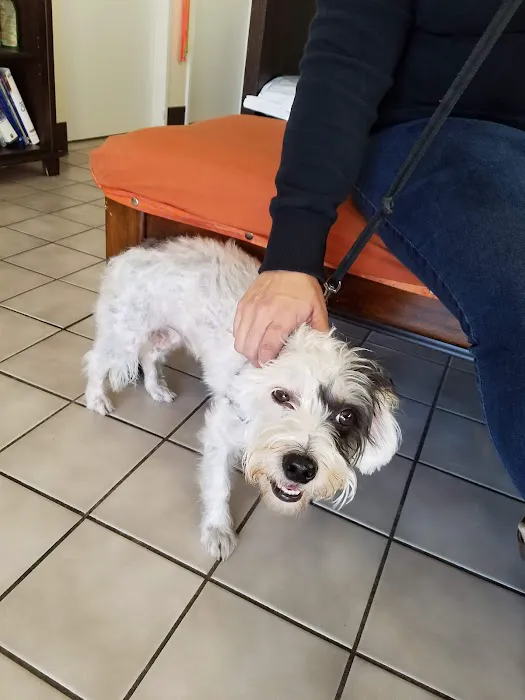 Full Circle Veterinary Care 3