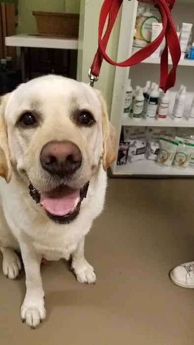 Full Circle Veterinary Care 2