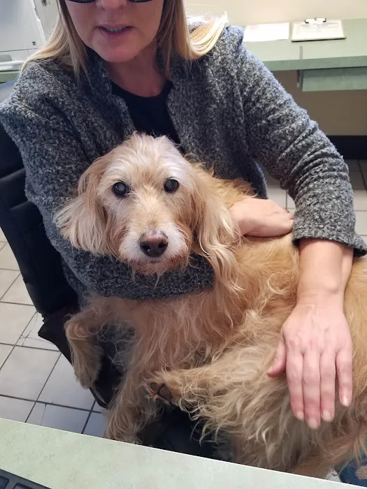 Full Circle Veterinary Care 4