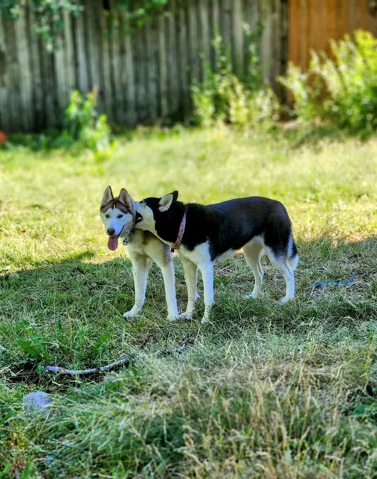 Banfield Pet Hospital 1