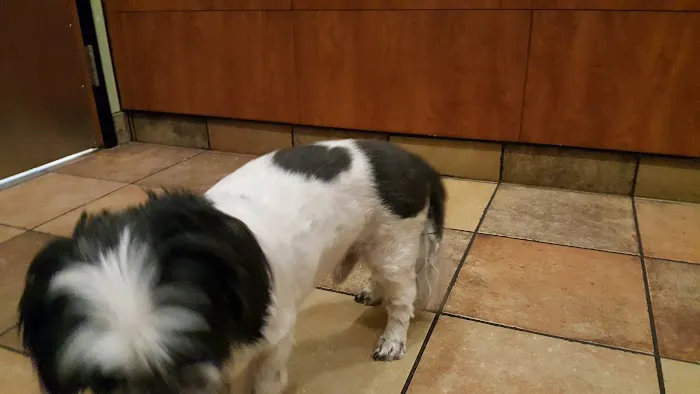 Banfield Pet Hospital 8
