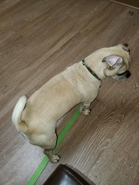Southgate Animal Clinic 6