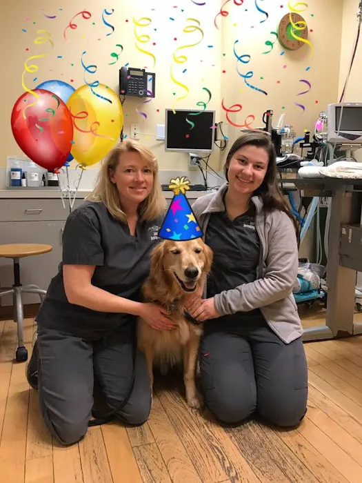 Animal Dermatology Clinic Portland 7