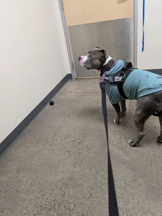 Vetco Total Care Animal Hospital 4