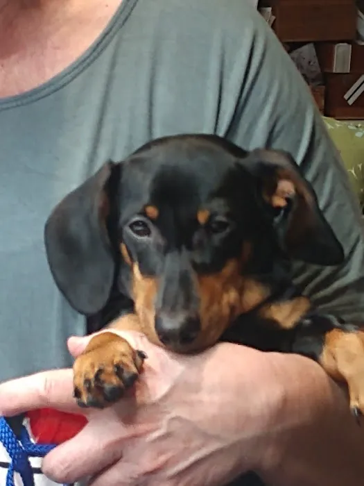 Vetco Total Care Animal Hospital 7