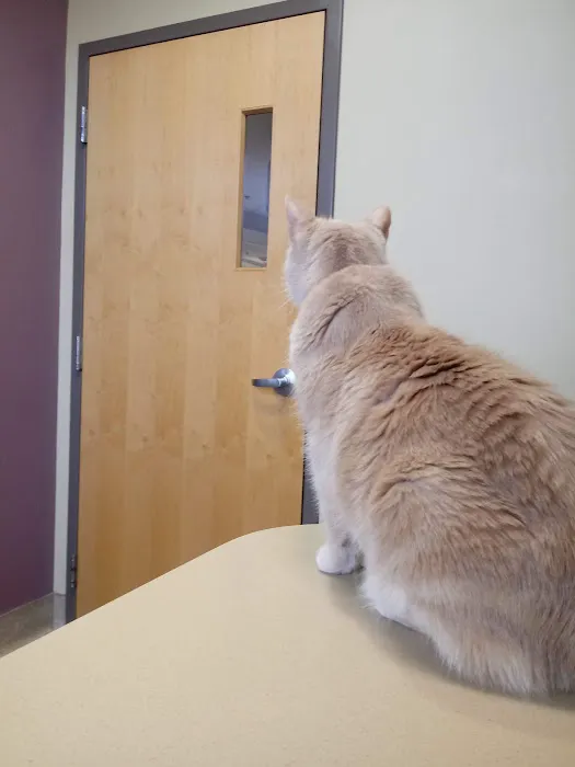 Parkway Veterinary Hospital 3