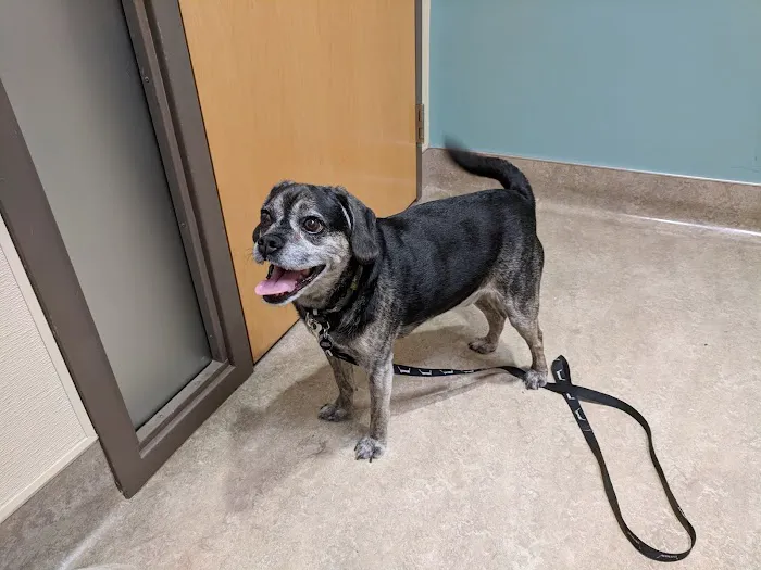 Parkway Veterinary Hospital 10