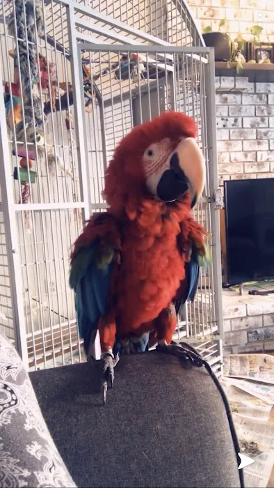 Avian Medical Center 2