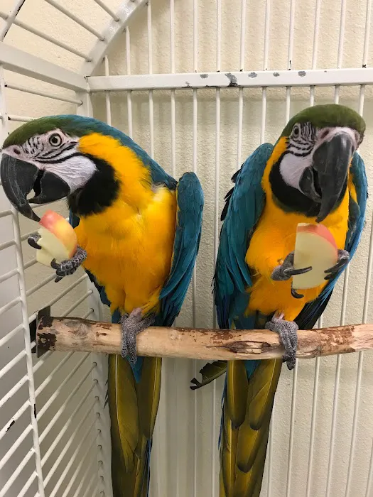 Avian Medical Center 4