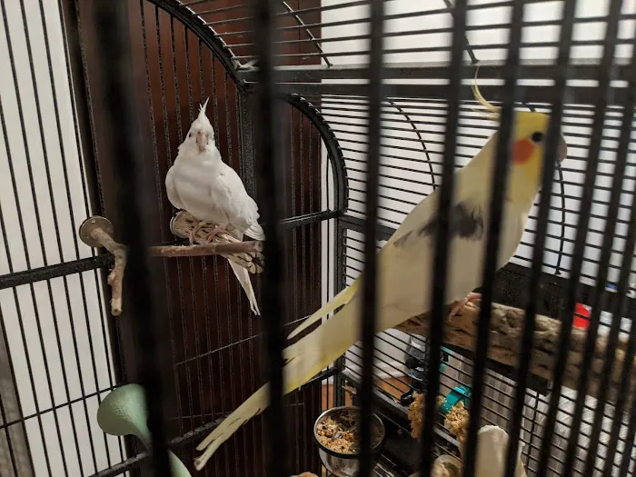 Avian Medical Center 5