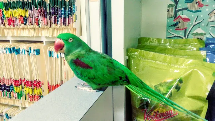 Avian Medical Center 3