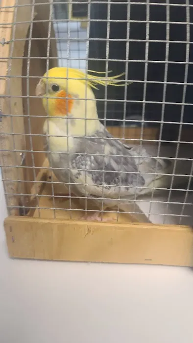 Avian Medical Center 9