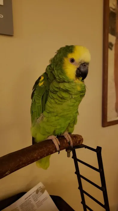 Avian Medical Center 10