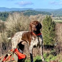 Bridgetown Veterinary Emergency + Referral ico