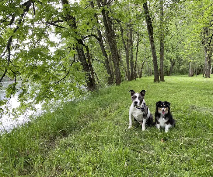 Bridgetown Veterinary Emergency + Referral 6