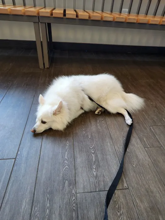 Banfield Pet Hospital 8