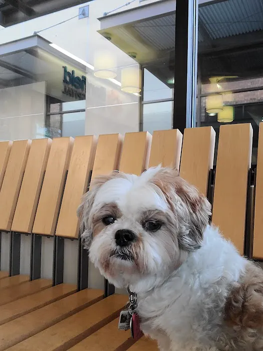 Banfield Pet Hospital 9