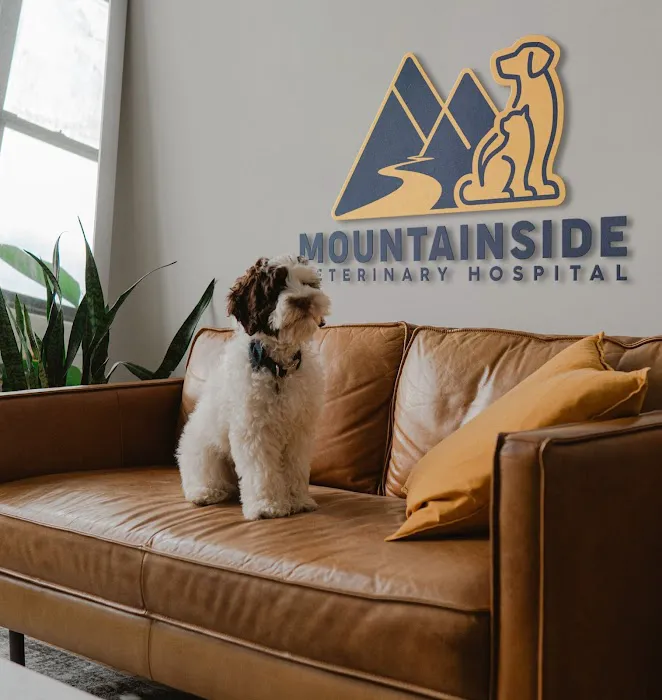 Mountainside Veterinary Hospital 8